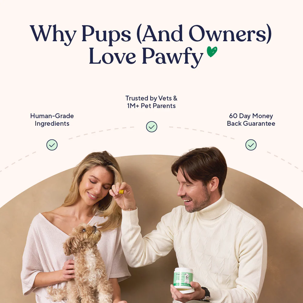 Allergy & Immune Large