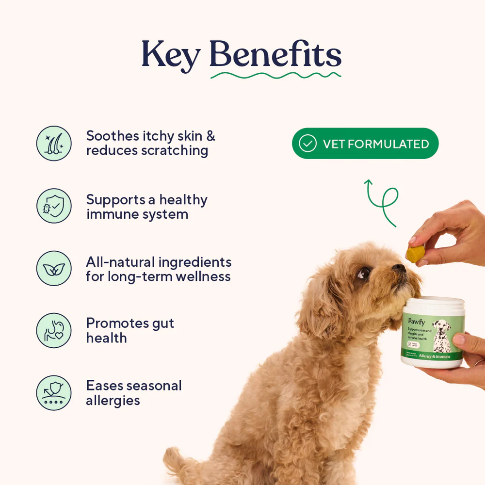 Allergy & Immune Large